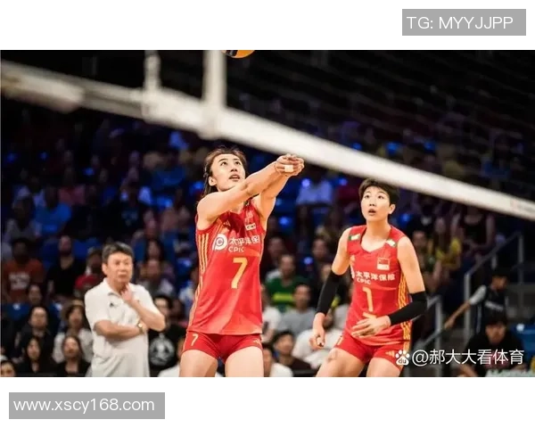 杭州排球队的灵活性揭秘：排球运动中的技巧与战术分析