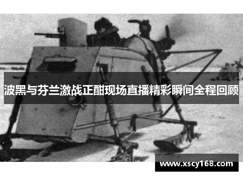 波黑与芬兰激战正酣现场直播精彩瞬间全程回顾